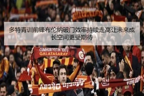 多特青训前锋布伦纳破门效率持续走高让未来成长空间更受期待